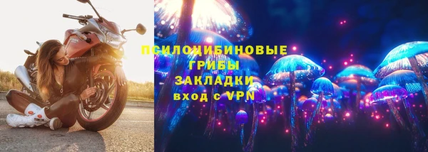 амф Балахна